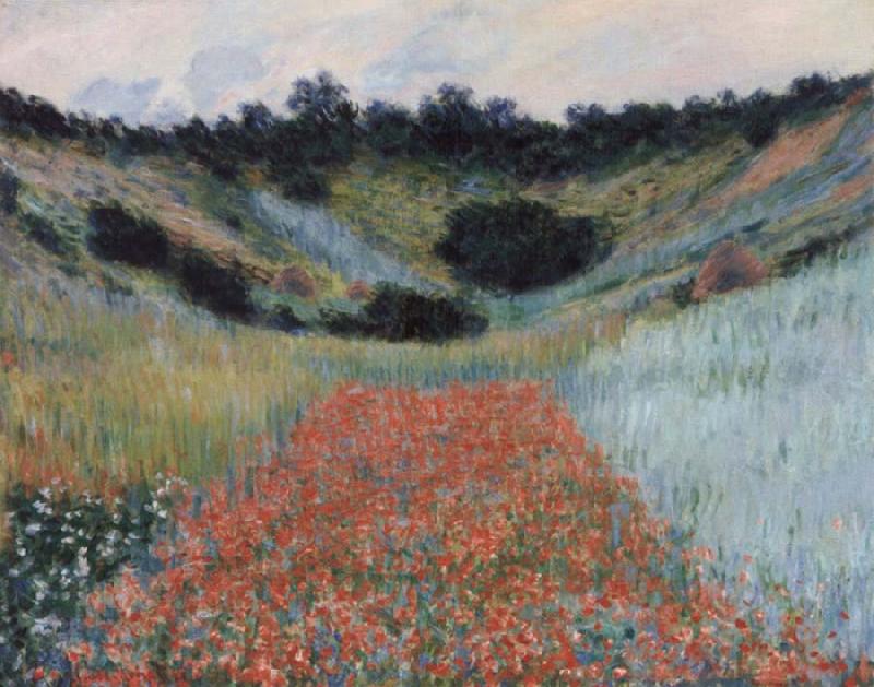 Claude Monet Poppy field in a hollow near Givemy Norge oil painting art